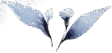 home-5-title-img